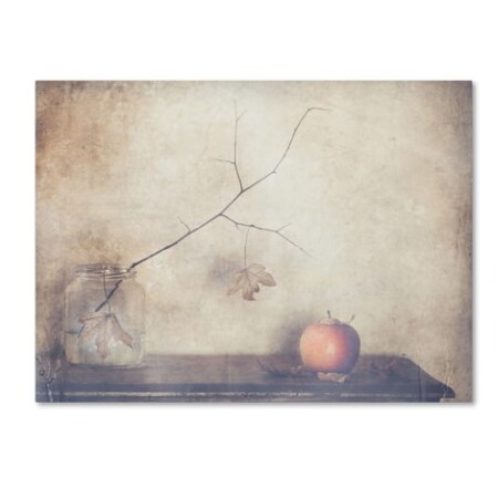 Trademark Fine Art Delphine Devos 'Fall Leaves Fall' Canvas Art, 14x19 1X03906-C1419GG